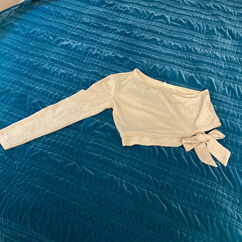 Large Glittery crop top with one sided long sleeve. Never worn before.